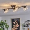 CHEHALIS Ceiling Light - glass clear, 5-light sources
