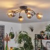 CHEHALIS Ceiling Light - glass Amber, Smoke-coloured, 6-light sources