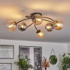 CHEHALIS Ceiling Light - glass Amber, Smoke-coloured, 6-light sources