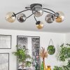 CHEHALIS Ceiling Light - glass Amber, Smoke-coloured, 6-light sources