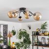 CHEHALIS Ceiling Light - glass Amber, 6-light sources