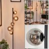 REMAISNIL Floor Lamp - glass Smoke-coloured, 5-light sources