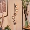 REMAISNIL Floor Lamp - glass clear, Smoke-coloured, 6-light sources