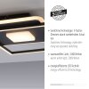 Leuchten-Direkt DOMINO Ceiling Light LED black, 1-light source