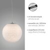 Paul-Neuhaus BOLO Pendant Light LED silver, 1-light source