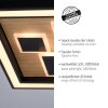 Paul-Neuhaus ELIZA Ceiling Light LED Ecru, black, 1-light source
