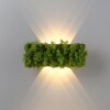 Leuchten-Direkt GREEN CARLO Wall Light LED silver, 6-light sources
