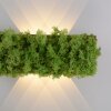 Leuchten-Direkt GREEN CARLO Wall Light LED silver, 6-light sources