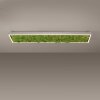 Leuchten-Direkt GREEN KNUT Ceiling Light LED silver, 1-light source