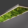 Leuchten-Direkt GREEN KNUT Ceiling Light LED silver, 1-light source