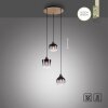 Leuchten-Direkt GREEN ZEA Pendant Light Ecru, black, 3-light sources