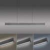 Paul-Neuhaus NANIA Pendant Light LED grey, 1-light source
