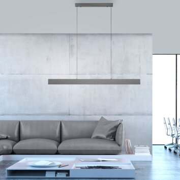 Paul-Neuhaus NANIA Pendant Light LED grey, 1-light source