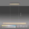 Paul-Neuhaus NANIA Pendant Light LED gold, 1-light source