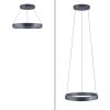 Paul-Neuhaus PURE E-CLIPSE Pendant Light LED grey, 2-light sources, Remote control