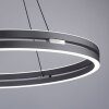 Paul-Neuhaus PURE E-LOOP Pendant Light LED grey, 2-light sources, Remote control