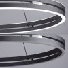 Paul-Neuhaus PURE E-LOOP Pendant Light LED grey, 2-light sources, Remote control