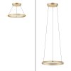 Paul-Neuhaus PURE E-LOOP Pendant Light LED gold, 2-light sources, Remote control