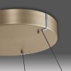 Paul-Neuhaus PURE E-LOOP Pendant Light LED gold, 2-light sources, Remote control