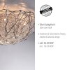 Paul-Neuhaus SAREA Ceiling Light silver, 10-light sources