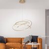 Paul-Neuhaus TESSARA Pendant Light LED gold, 1-light source, Remote control