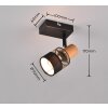 Trio NANDINI Ceiling Light black, 1-light source