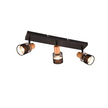 Trio NANDINI Ceiling Light black, 3-light sources