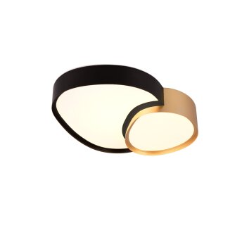 Trio RISE Ceiling Light LED black-gold, 1-light source, Remote control