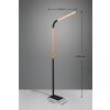 Trio NORRIS Floor Lamp LED black, 1-light source
