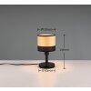 Reality BOLZANO Table lamp black, 1-light source