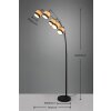 Reality BOLZANO Floor Lamp black, 5-light sources