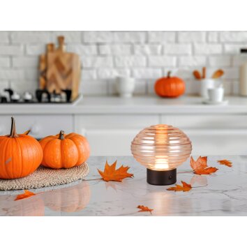 Reality EARL Table lamp LED black, 1-light source