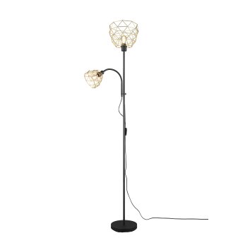 Reality HAVAL Floor Lamp black-gold, 2-light sources