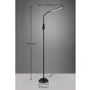 Reality TORO Floor Lamp LED black, 1-light source