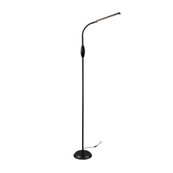 Reality TORO Floor Lamp LED black, 1-light source