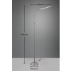 Reality TORO Floor Lamp LED grey, 1-light source
