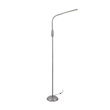Reality TORO Floor Lamp LED grey, 1-light source