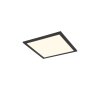 Reality BETA Ceiling Light LED black, 1-light source, Remote control, Colour changer