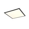 Reality BETA Ceiling Light LED black, 1-light source, Remote control, Colour changer