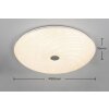 Reality GRAVITY Ceiling Light LED white, 1-light source, Remote control