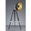 Trio LIÈGE floor lamp black, 1-light source