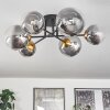 Chehalis Ceiling Light - glass 12 cm, 15 cm gold, black, 6-light sources