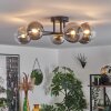 Chehalis Ceiling Light - glass 12 cm gold, black, 6-light sources