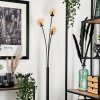 Bernado Floor Lamp - glass 10 cm Amber, 3-light sources
