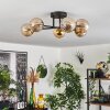 Chehalis Ceiling Light - glass 15 cm gold, black, 6-light sources