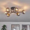Chehalis Ceiling Light - glass 10 cm gold, black, 6-light sources