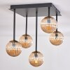 Chehalis Ceiling Light - glass 10 cm gold, black, 5-light sources