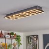 Taboneira Ceiling Light LED dark brown, black, 3-light sources