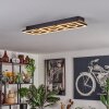 Taboneira Ceiling Light LED Ecru, black, 3-light sources