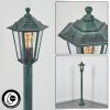 Loria path light green, black, 1-light source